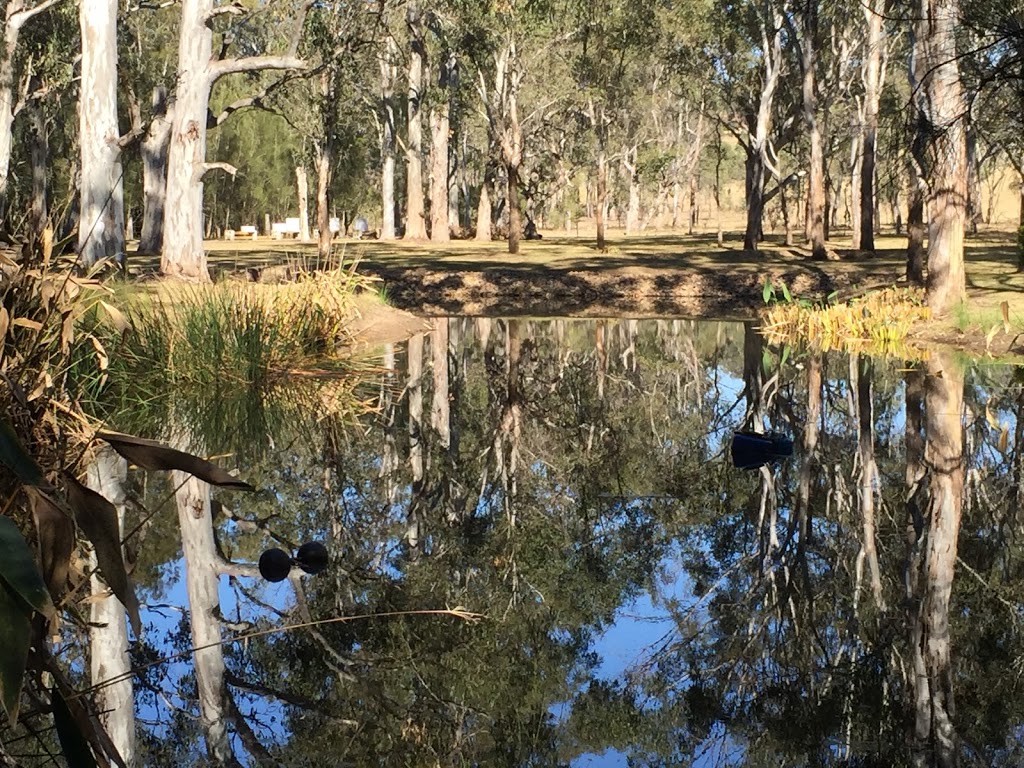 Thulanathi Conservation and Health | 171 OConnors Rd, Pokolbin NSW 2320, Australia | Phone: 0439 809 944