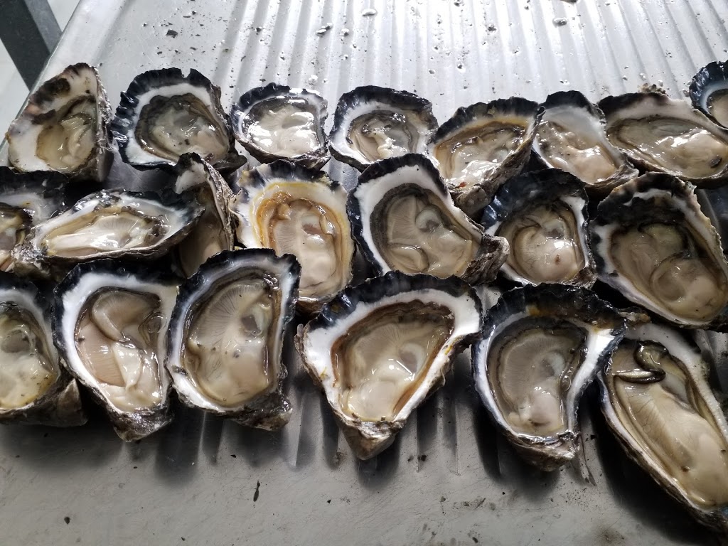 Baines Oysters |  | 1459 Manning Point Rd, Mitchells Island NSW 2430, Australia | 0409609216 OR +61 409 609 216