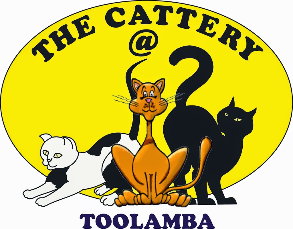 The Cattery @ Toolamba | 435 Pogue Rd, Toolamba VIC 3614, Australia | Phone: 0458 265 266