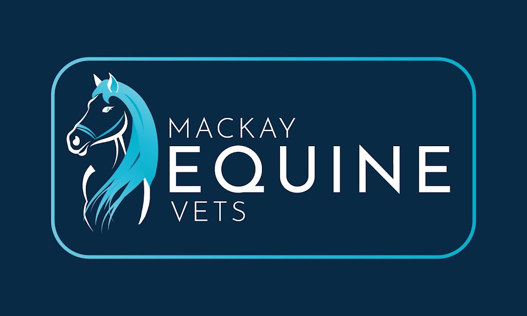 Mackay Equine Vets | 238 Doyles Rd, Balnagowan QLD 4740, Australia | Phone: 0458 806 183