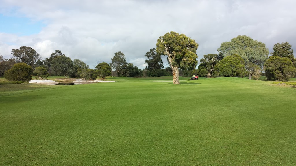 Armadale Golf Club | 629 Forrest Rd, Forrestdale WA 6112, Australia | Phone: (08) 9498 2795