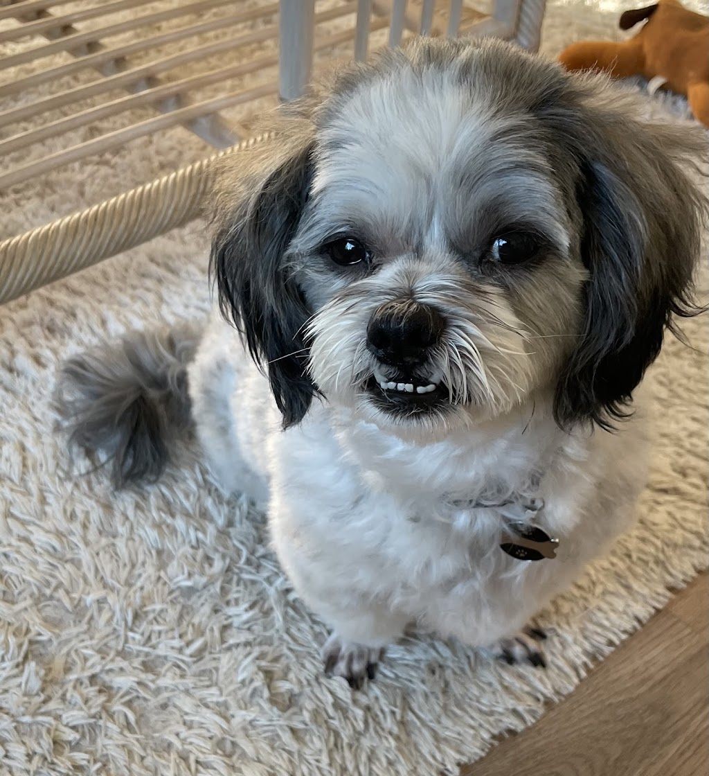 Pamper Palace | 3A Kingfisher Ln, Woodberry NSW 2322, Australia | Phone: 0435 832 293