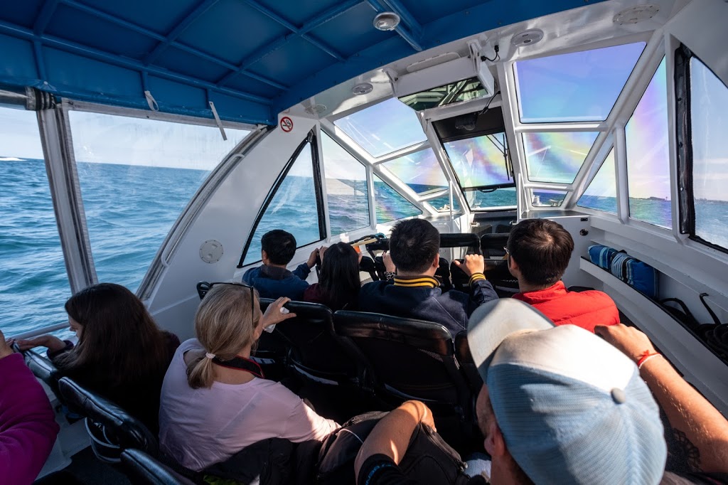 EcoBoat Adventures | The Jetty Triangle, 11-13 The Esplanade, Cowes VIC 3922, Australia | Phone: (03) 5951 2800