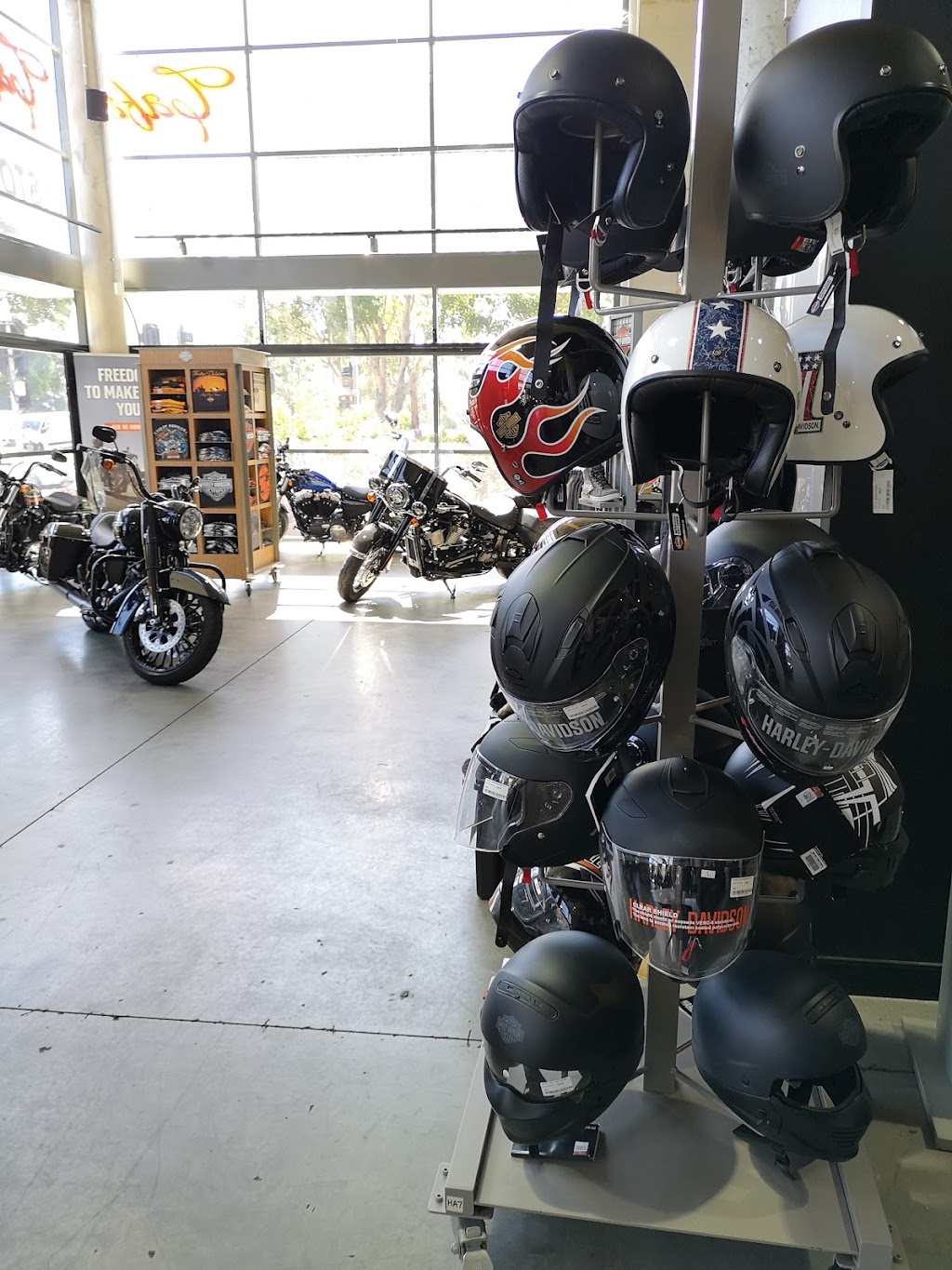 Fraser Motorcycles Northern Beaches | store | 170 Harbord Rd, Brookvale NSW 2100, Australia | 0284596000 OR +61 2 8459 6000