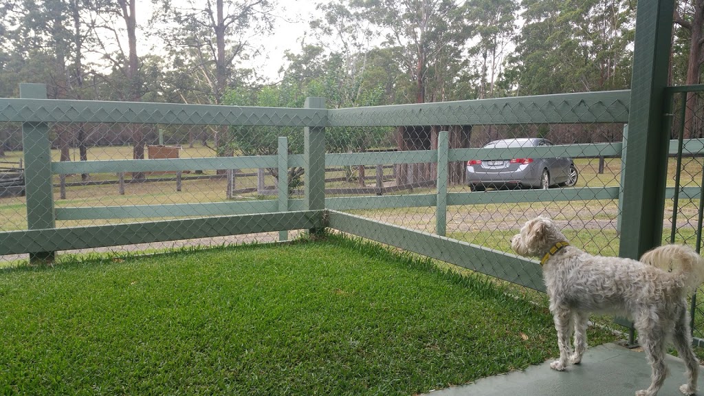 Neds Bed Horse & Dog -otel | 123 Kawana Ln, Barraganyatti NSW 2441, Australia | Phone: (02) 6565 0085