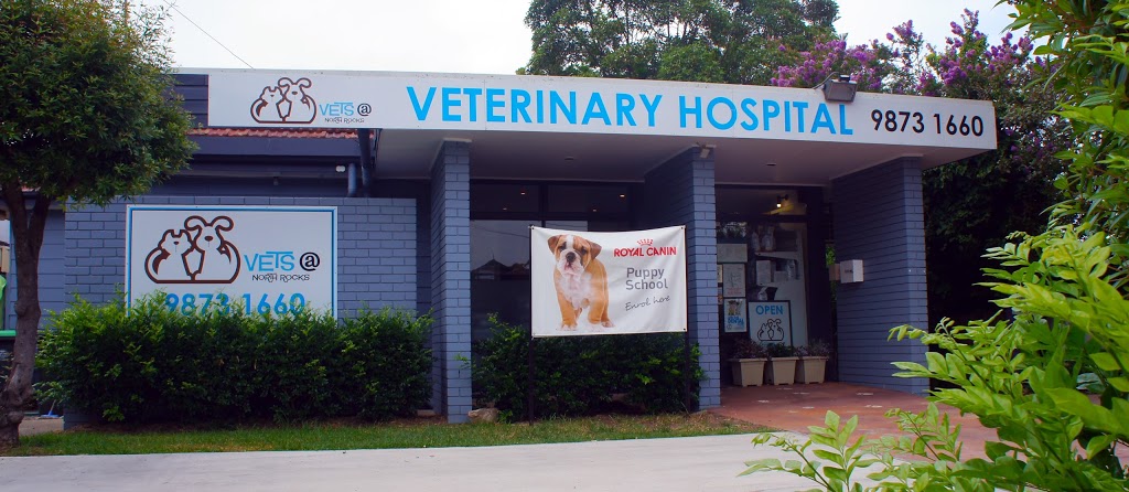 Vets at North Rocks | 262 N Rocks Rd, North Rocks NSW 2151, Australia | Phone: (02) 9873 1660