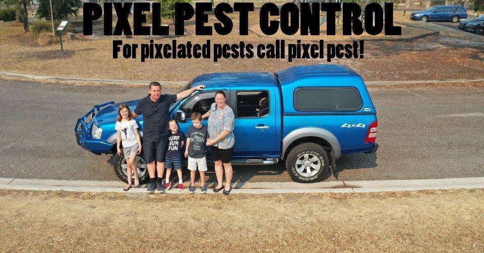 Pixel Pest Control | home goods store | 73 Holdom Rd, Karuah NSW 2324, Australia | 0492856369 OR +61 492 856 369