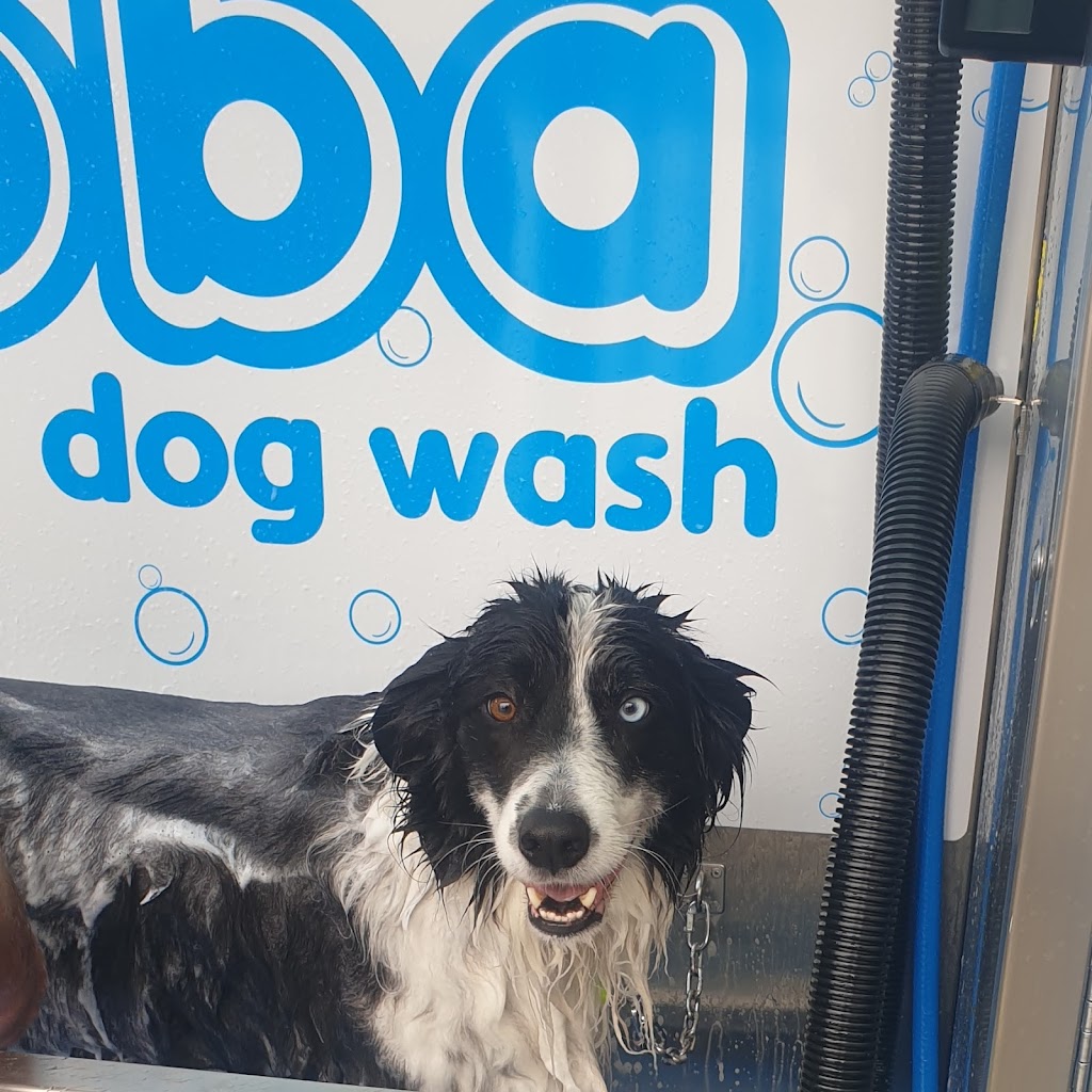 Dooba Organic DIY Dog Wash | 89 Mackie Rd, Bentleigh East VIC 3165, Australia | Phone: (03) 9005 7029