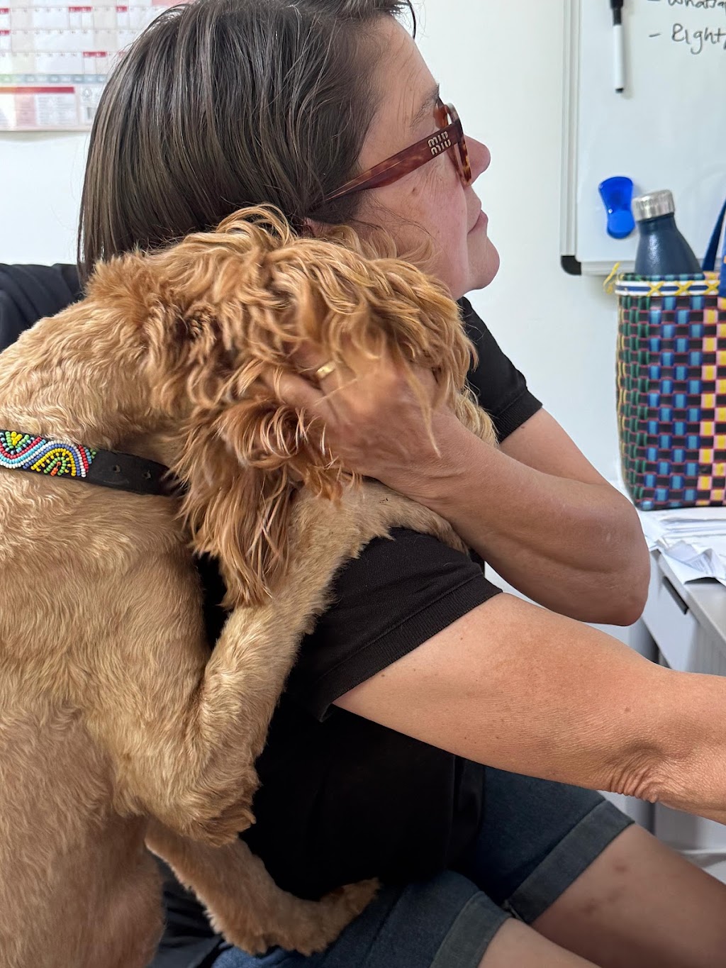 Woofs HQ | 16 E Kurrajong Rd, East Kurrajong NSW 2758, Australia | Phone: 0420 960 690