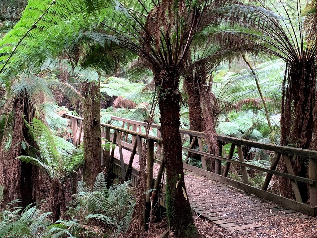 Mount Worth State Park | Victoria, Australia