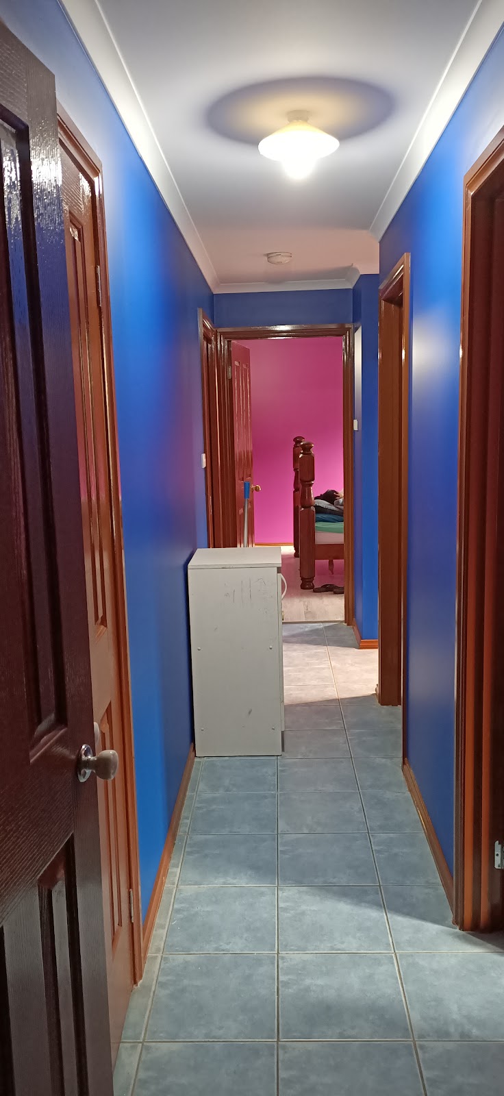 Anpu Painting Service | 119 Underbank Blvd, Bacchus Marsh VIC 3340, Australia | Phone: 0469 038 139