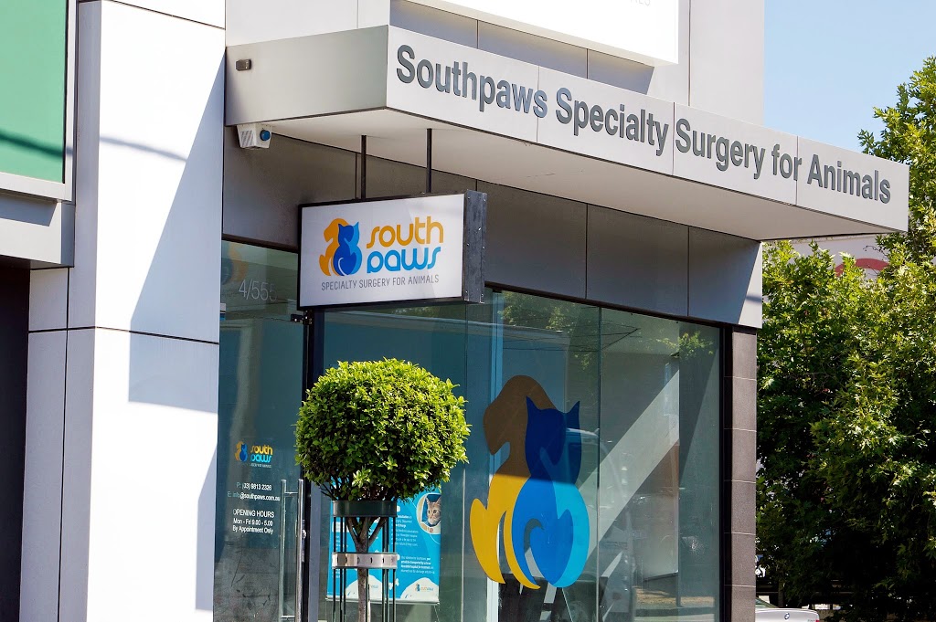 Southpaws Specialty Surgery Consulting Suites | veterinary care | 4/555 Riversdale Rd, Camberwell VIC 3124, Australia | 0398132326 OR +61 3 9813 2326