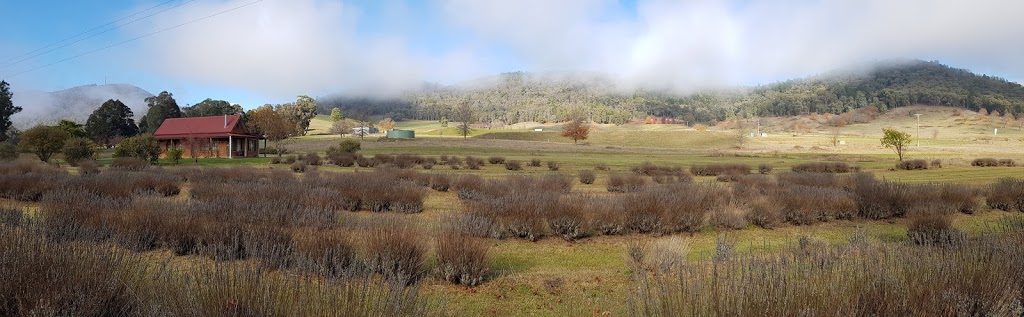 high country lavender | lodging | 318 Roberts Creek Rd, Porepunkah VIC 3740, Australia | 0419005339 OR +61 419 005 339