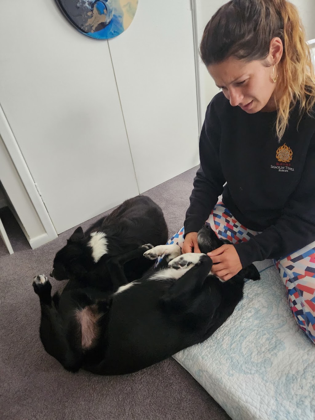 Mar Biologist - Shiatsu - Reflexology | South Grafton NSW 2460, Australia | Phone: 0452 418 769