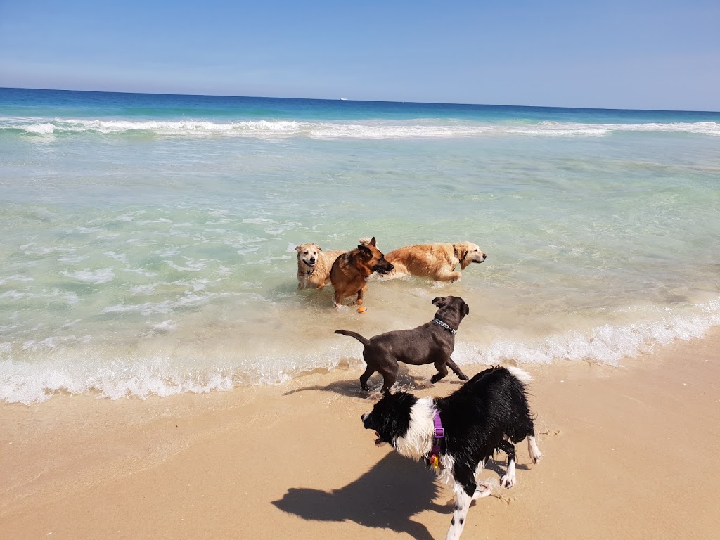 Dog Beach ( South of City Beach) | Challenger Parade, City Beach WA 6015, Australia