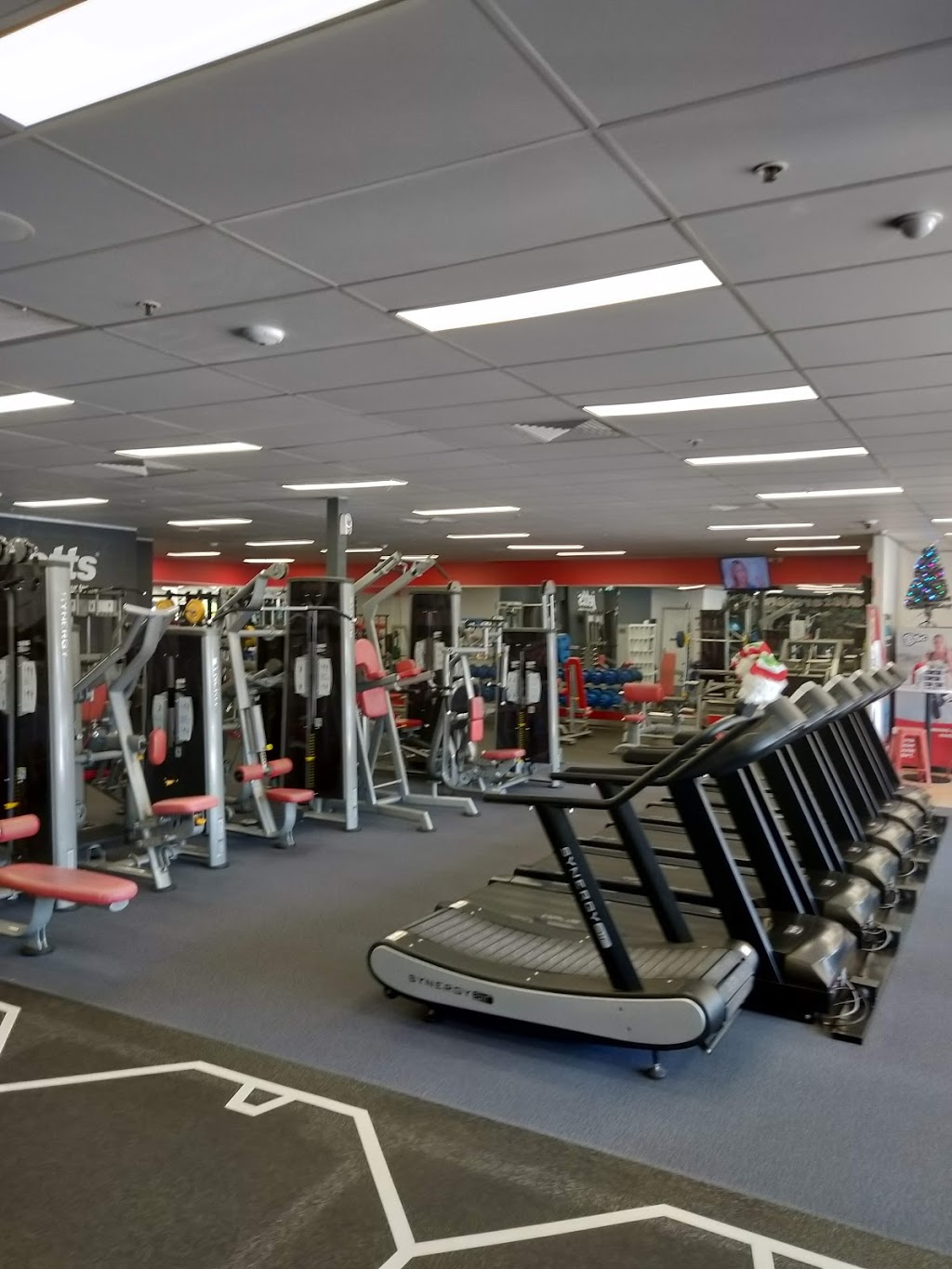 Jetts Rosemeadow | gym | Shop/17 Copperfield Dr, Rosemeadow NSW 2560, Australia | 0246208566 OR +61 2 4620 8566
