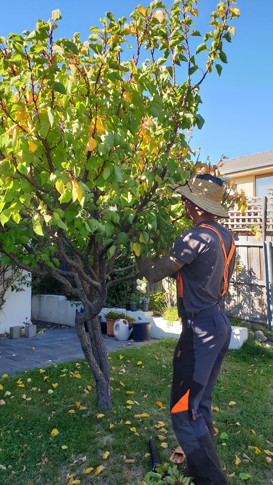 Arbor Co Tasmania | 51 Opus Dr, Acton Park TAS 7170, Australia | Phone: 0413 321 333