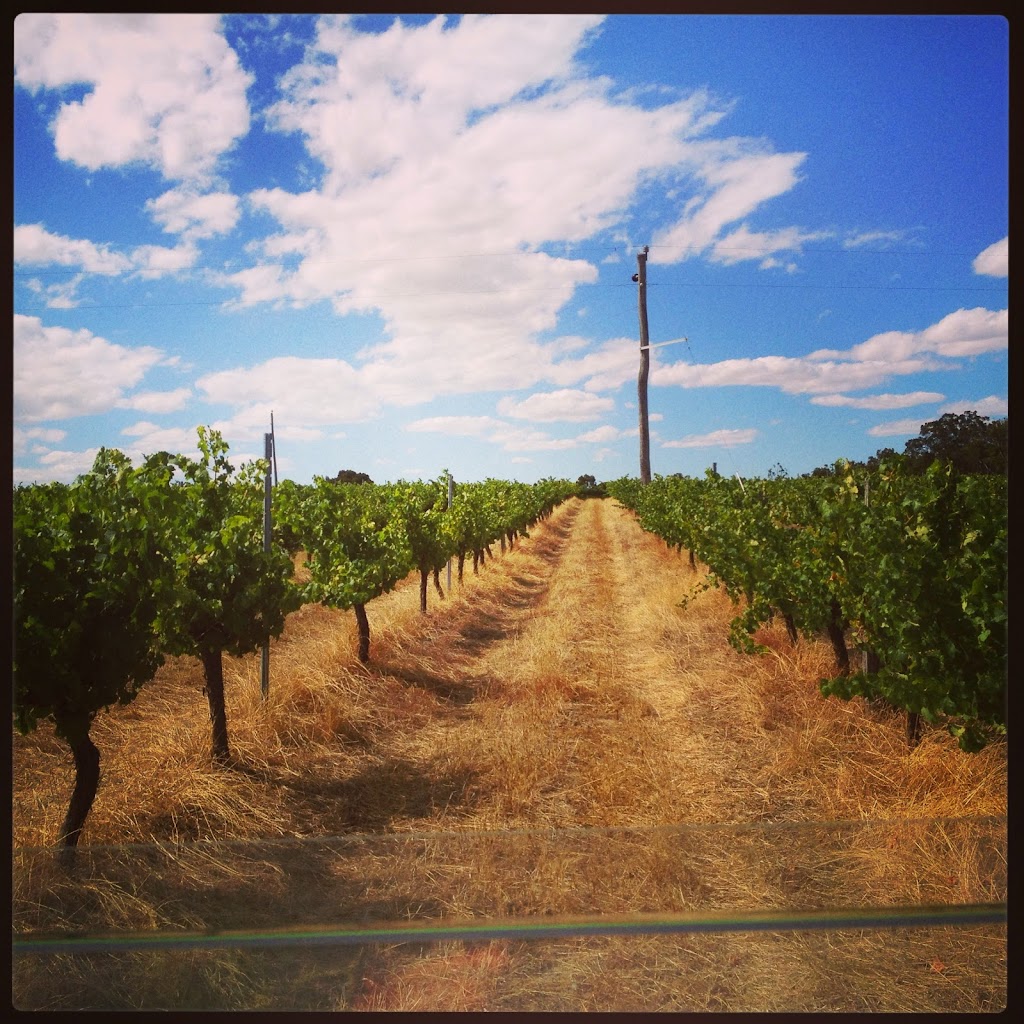 Galafrey Wines | 432 Quangellup Rd, Mount Barker WA 6324, Australia | Phone: (08) 9851 2022