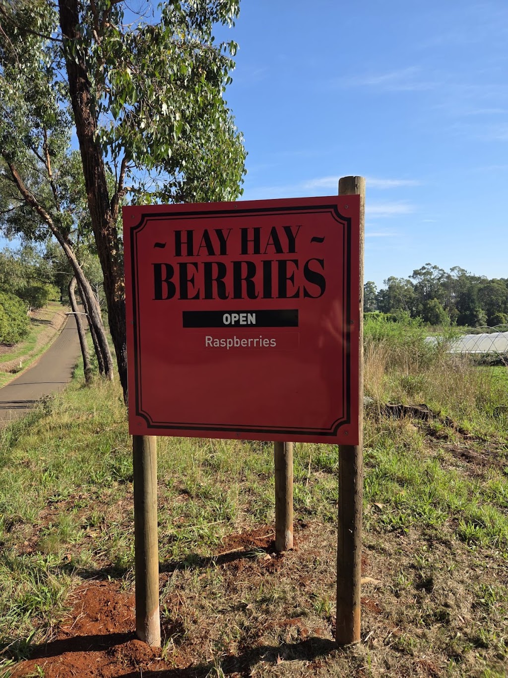 Hay Hay Berries | 165 Graham Rd, Wandin East VIC 3139, Australia | Phone: 0425 709 019