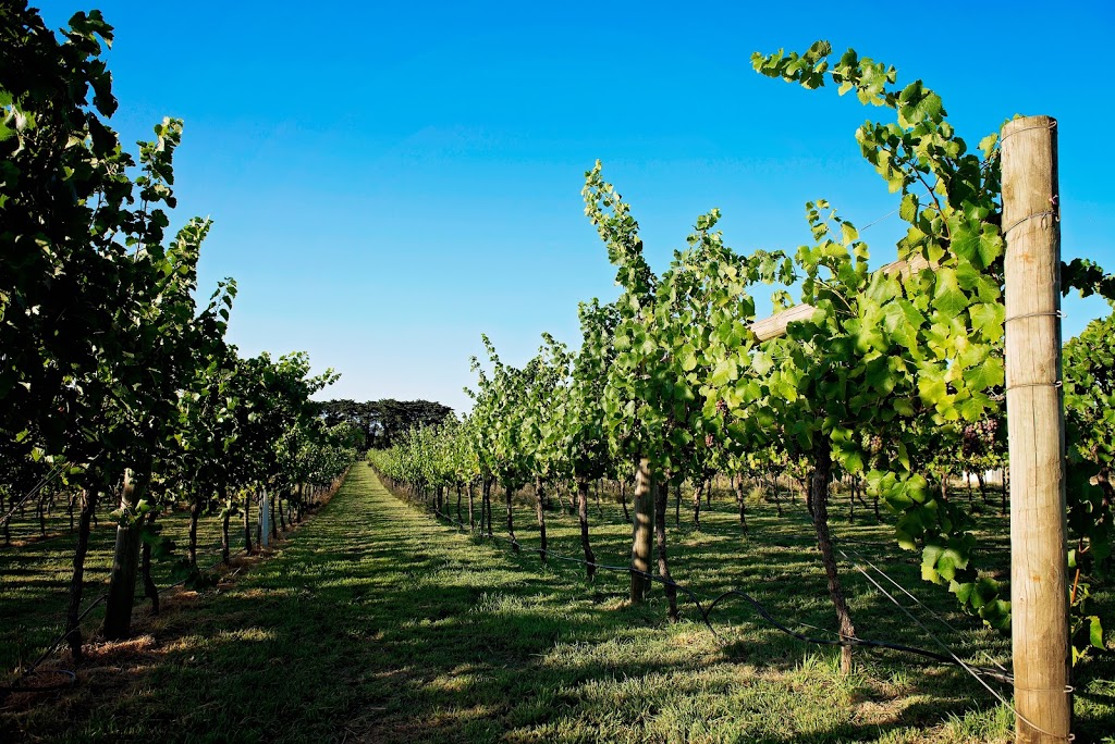 Parkside Winery Estate | 308 Parks Rd, Lancefield VIC 3435, Australia | Phone: 0419 036 581