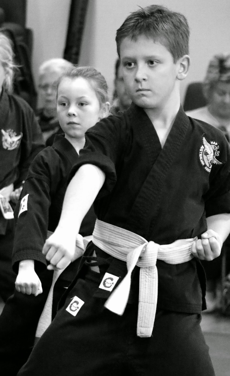 Pittwater Hapkido Club | health | 27/5 Ponderosa Parade, Warriewood NSW 2102, Australia | 0400811400 OR +61 400 811 400