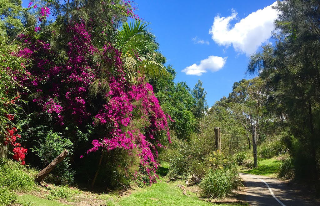 Flatrock Reserve | Northbridge NSW 2063, Australia