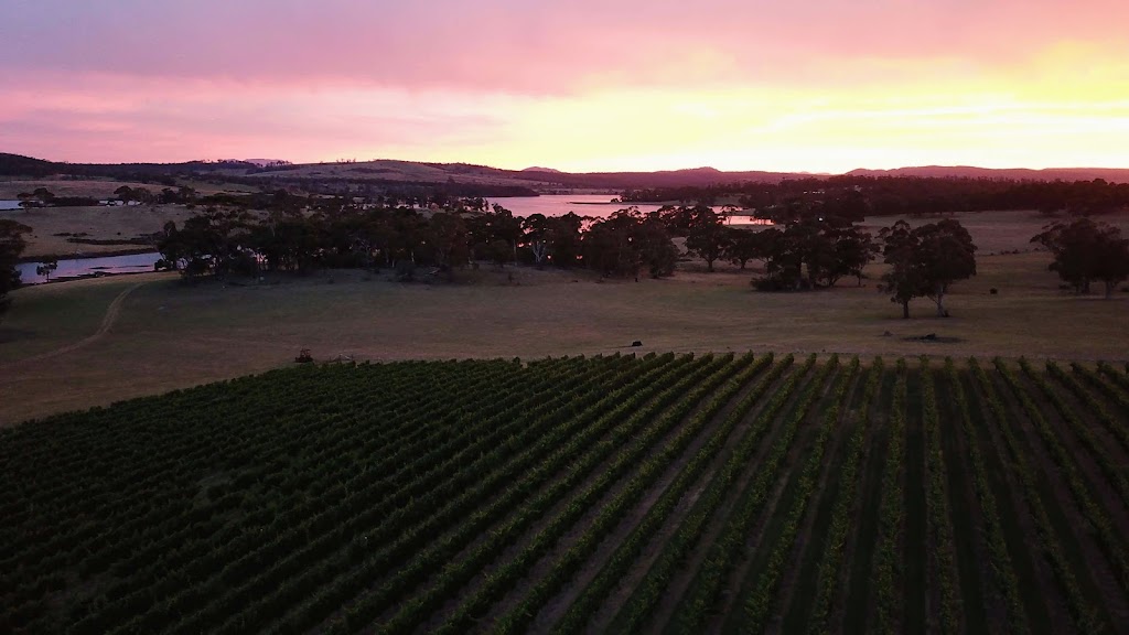 Boomer Creek Vineyard & Cellar Door | 10922 Tasman Hwy, Little Swanport TAS 7190, Australia | Phone: 0423 912 360