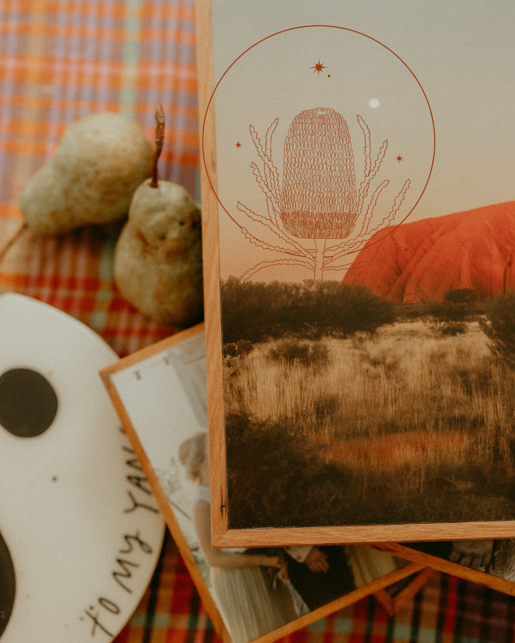 These Golden Days | 13 King St, Appin NSW 2560, Australia | Phone: 0412 943 599