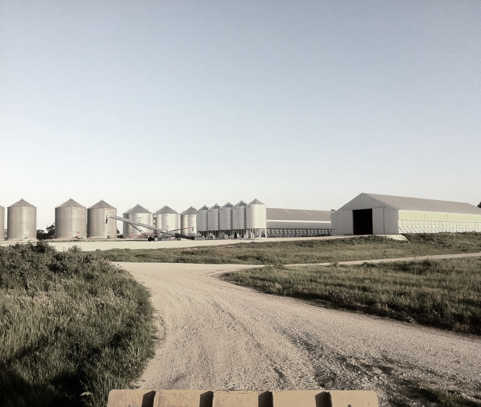Pilgrim Grain Storage | storage | 116 Tatiara Rd, Bordertown SA 5268, Australia | 0887522971 OR +61 8 8752 2971