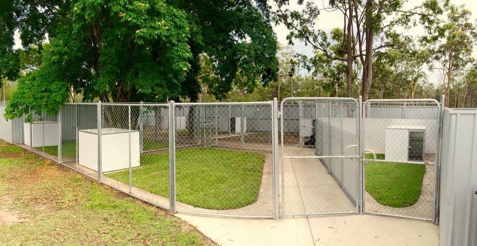 Excel Dog Training & Boarding Kennels | Attunga Rd, Greenbank QLD 4124, Australia | Phone: 0404 122 684