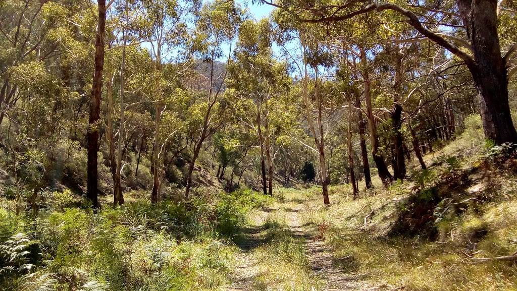 Eusdale Nature Reserve | park | Gemalla NSW 2795, Australia