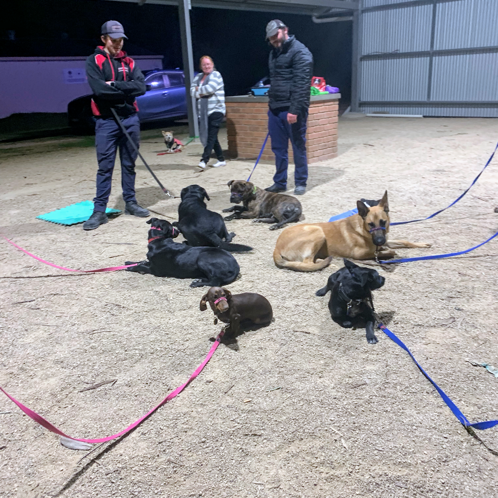 Manners Under Distraction Dog Training Corowa |  | Glencoe Rd, Hopefield NSW 2646, Australia | 0402662879 OR +61 402 662 879