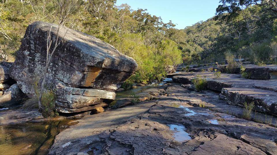 Engadine Track | Engadine Track, Royal National Park NSW 2233, Australia