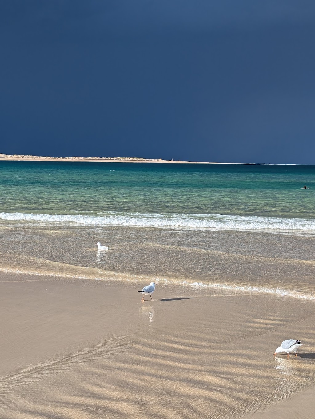 Port Stephens Beachside Garden Villa Rental- Maestral II | 27 Richardson Ave, Boat Harbour NSW 2136, Australia | Phone: (02) 4981 1577