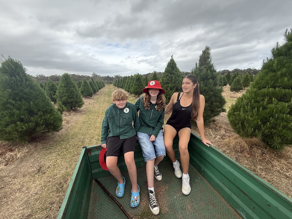 Wedderburn Christmas Trees | 64 Blackburn Rd, Wedderburn NSW 2560, Australia | Phone: 0402 086 032
