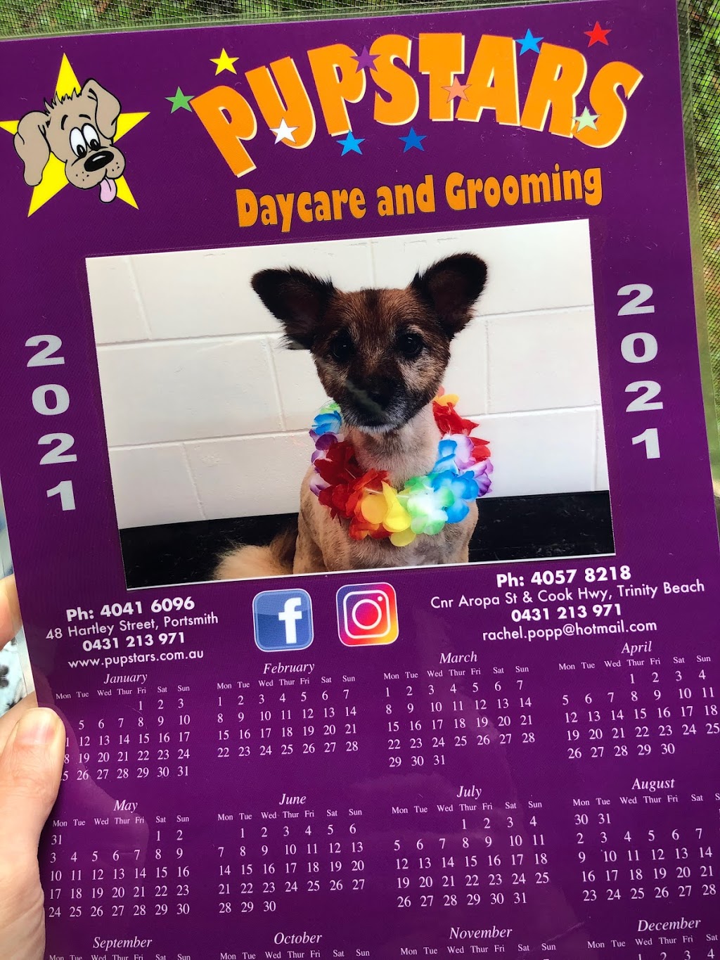 Pupstars Daycare And Grooming Trinity Beach | State Route 44, Aropa St &, Captain Cook Hwy, Trinity Beach QLD 4879, Australia | Phone: (07) 4057 8218
