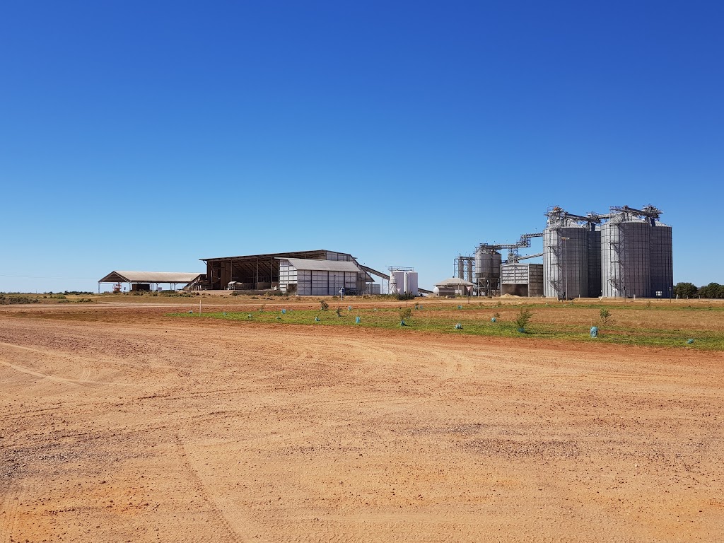 JBS Prime City Feedlot | 1950 Tabbita Ln, Tabbita NSW 2652, Australia | Phone: (02) 6968 8500