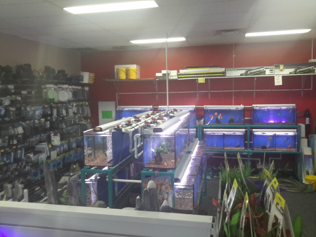 Crossroads Aquarium | pet store | 509 Lake Rd, Argenton NSW 2284, Australia | 0249508646 OR +61 2 4950 8646