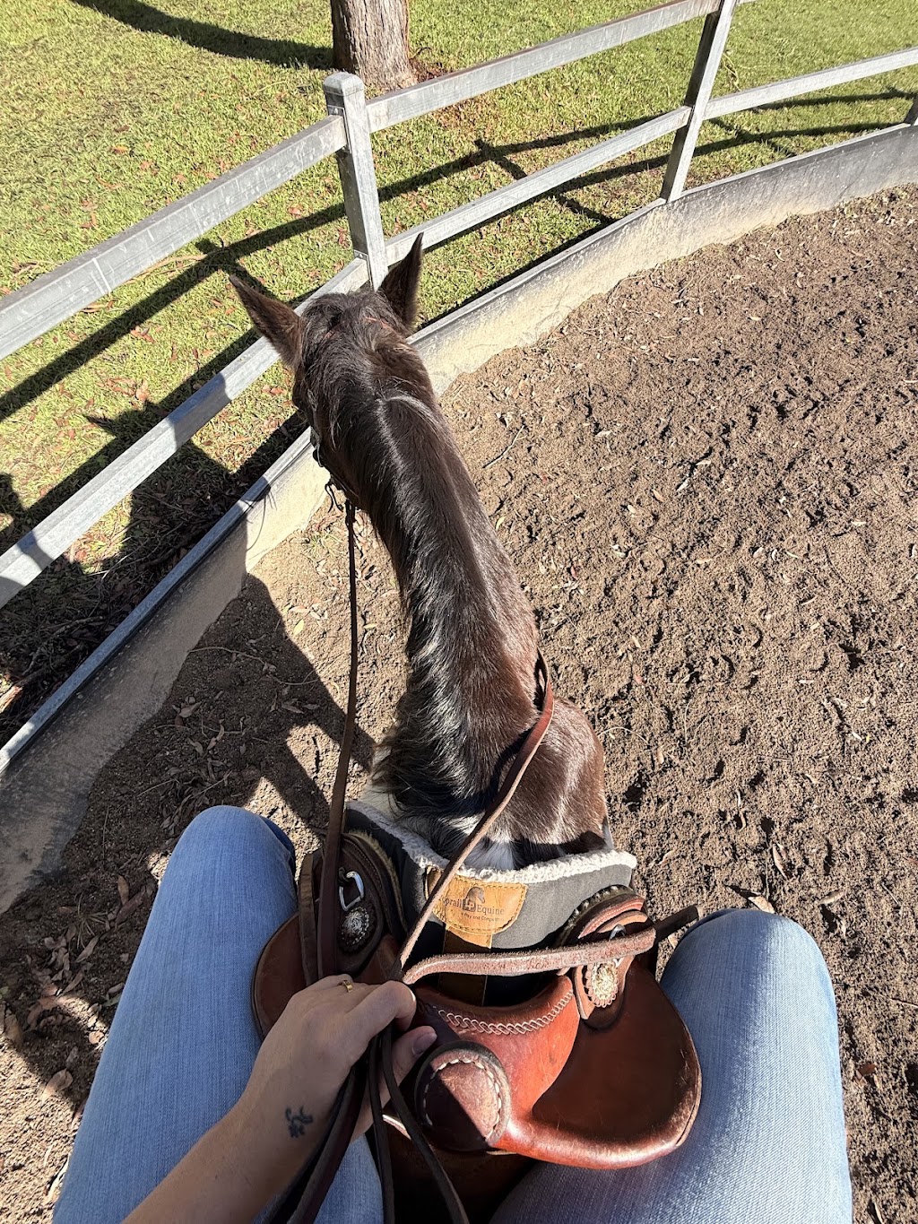 Dezigna Lodge Horsemanship | 1 Nonmus Rd, Stanmore QLD 4514, Australia | Phone: 0429 337 716
