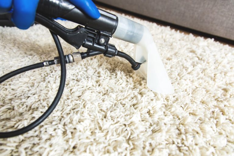Oxford Cleaning Sydney | 23 Weyland St, Punchbowl NSW 2196, Australia | Phone: (02) 7802 6481