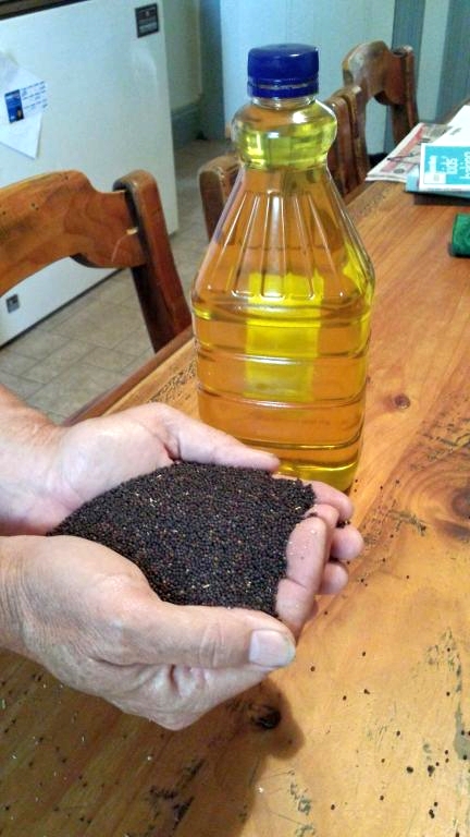 Monta Flora | 931 Salter Springs Rd, Salter Springs SA 5401, Australia | Phone: 0428 286 097