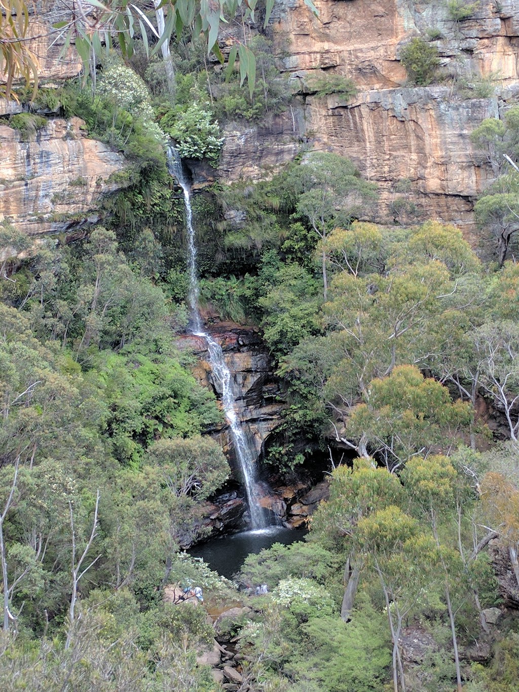 Minni haha Falls, Blue Mountains | park | N, 1/9 Katoomba Falls Rd, Katoomba NSW 2780, Australia
