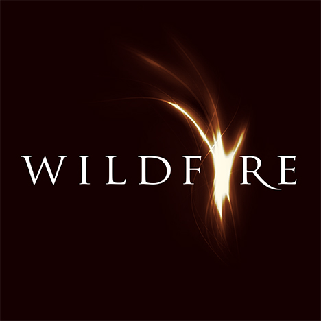 Wildfire Oil | health | Unit 3/32 Harrington St, Arundel QLD 4214, Australia | 0755771412 OR +61 7 5577 1412