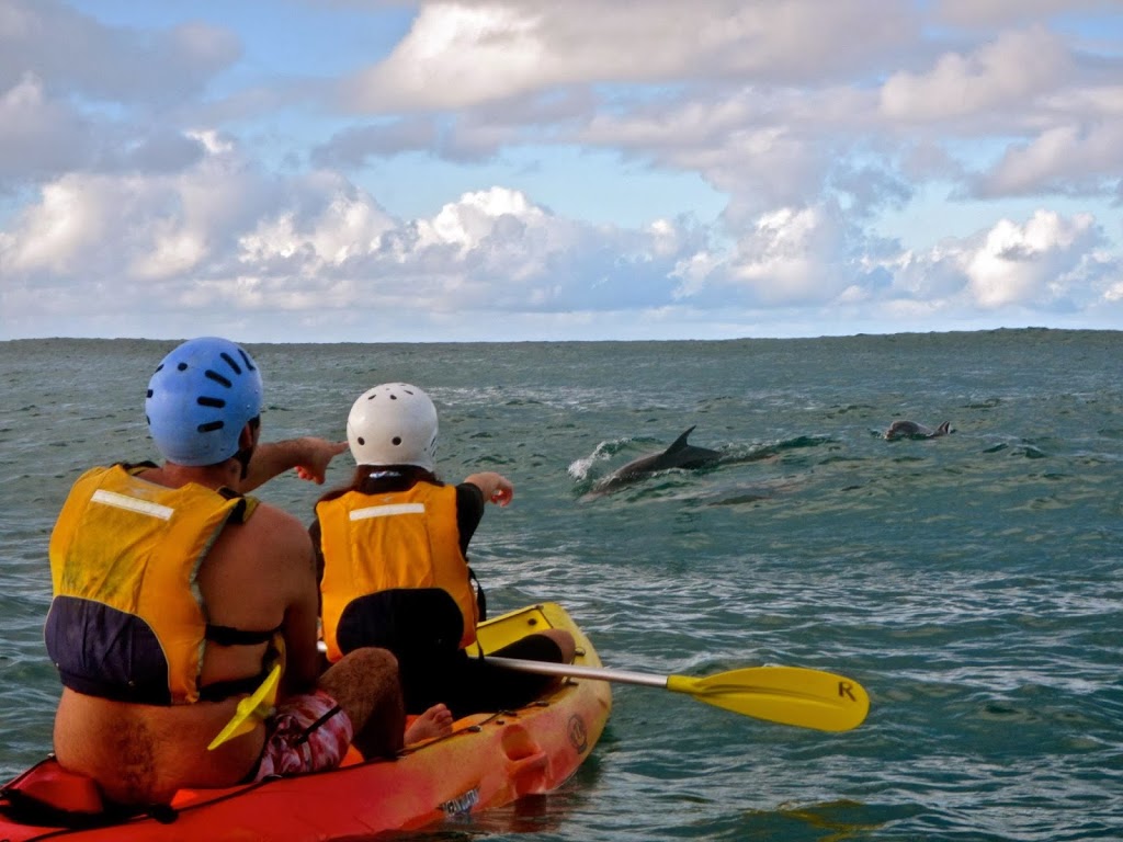 Go Sea Kayak Byron Bay | 56 Lawson St, Byron Bay NSW 2481, Australia | Phone: 0416 222 344