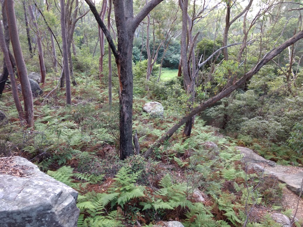 Field of Mars Reserve Pittwater Road Gladesville | 220 Pittwater Rd, East Ryde NSW 2111, Australia