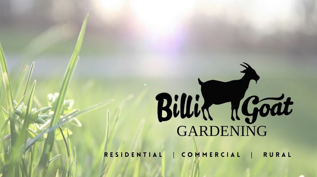 Billi Goat Gardening | 21 Pebble Creek Way, Gillieston Heights NSW 2321, Australia | Phone: 0429 605 501