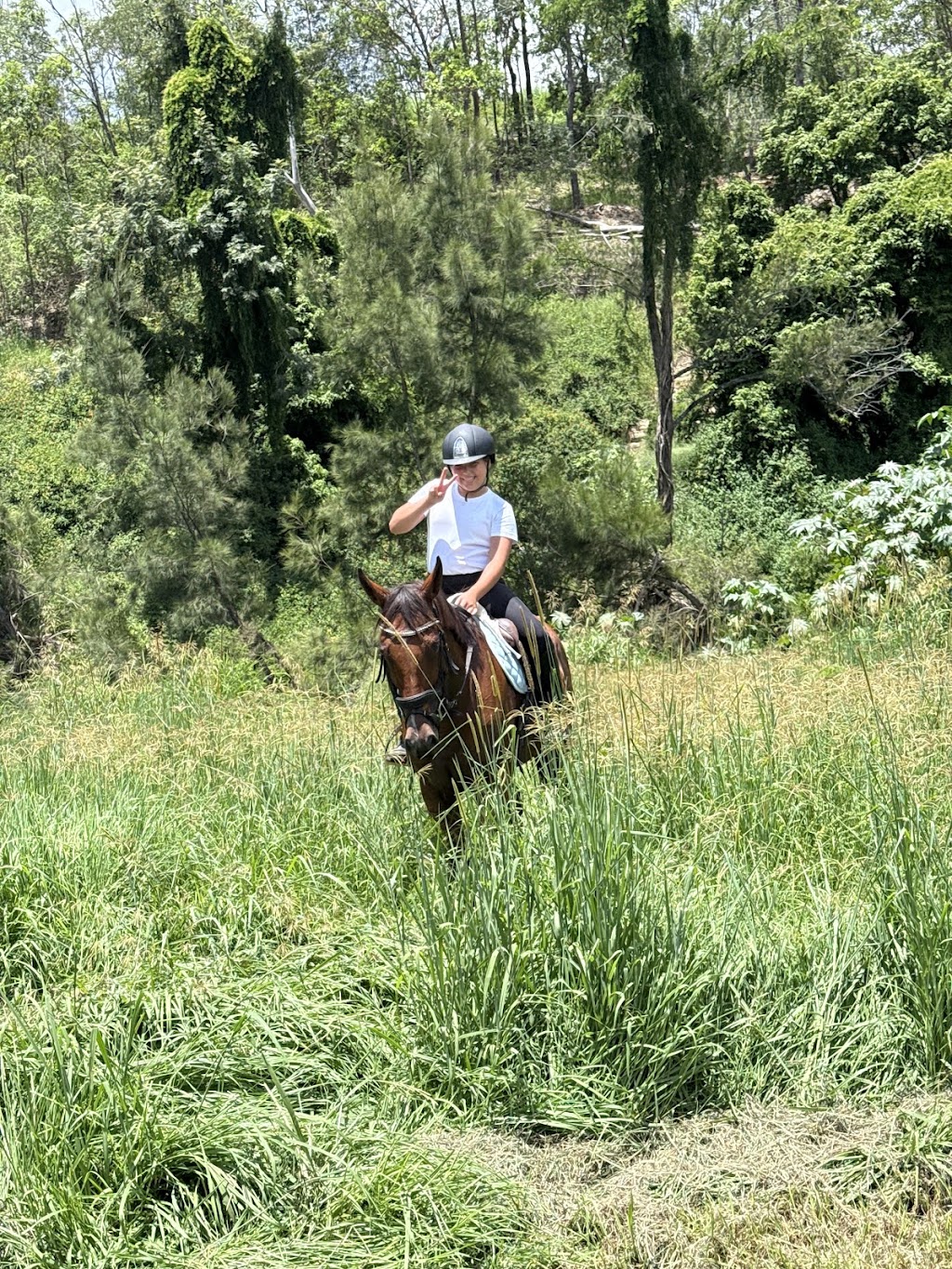 The Royal Palm Equine | 2450 Beaudesert Nerang Rd, Canungra QLD 4275, Australia | Phone: 0466 688 934
