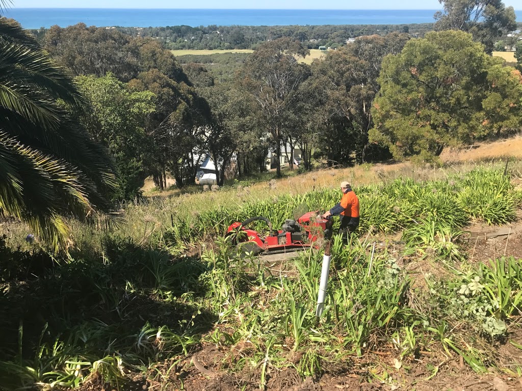 Roots 2 Leaves Tree Services Pty Ltd | Old Orbost Rd, Swan Reach VIC 3909, Australia | Phone: 0409 506 958