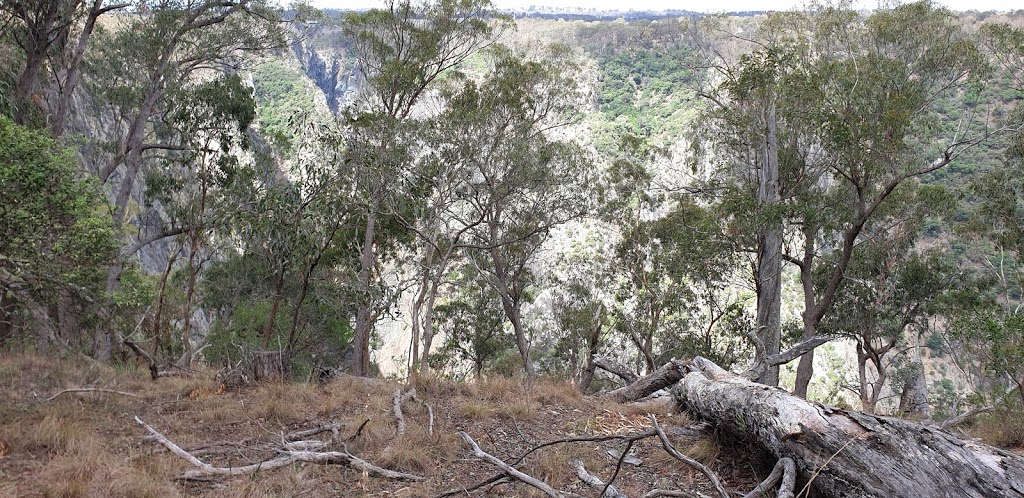 Wollomombi Falls Picnic Area | Wollomombi Falls Rd, Hillgrove NSW 2350, Australia | Phone: 1300 072 757