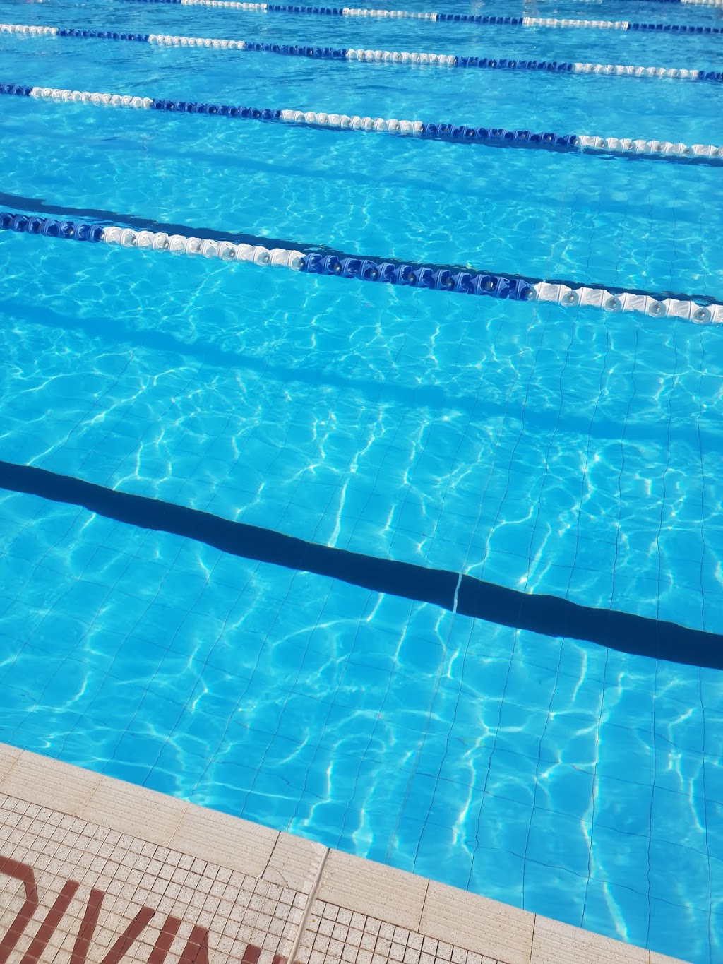 Western Suburbs Pool |  | Princes Hwy &, Chapman St, Unanderra NSW 2526, Australia | 0242715861 OR +61 2 4271 5861